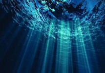 大聯大世平集團推出基于NXP產品的聯網交流充電樁系統解決方案